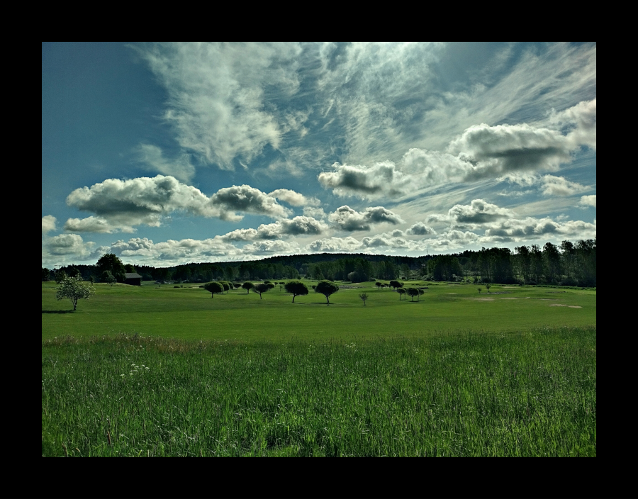 Golfkenttä Espoossa, Omnian vieressä. Golfkentän kesäaamu. Rauhoittava näkymä.