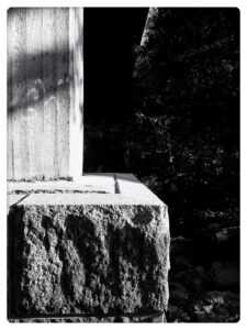 Read more about the article Kolme pientä runoa, yksi ruho