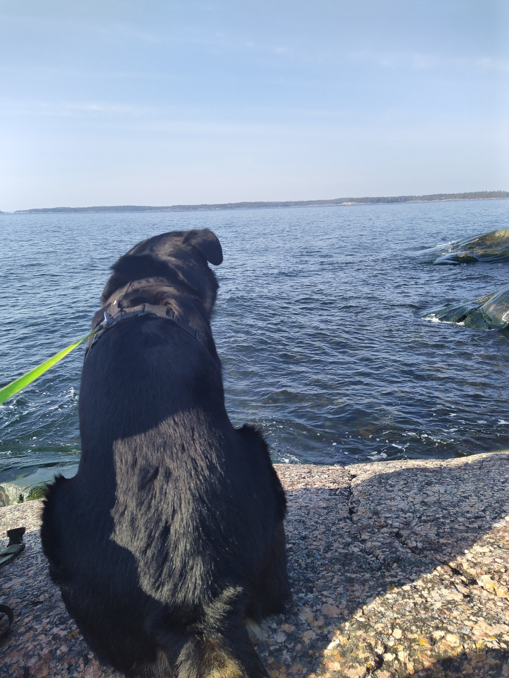 You are currently viewing Top 3 (Osa 3)